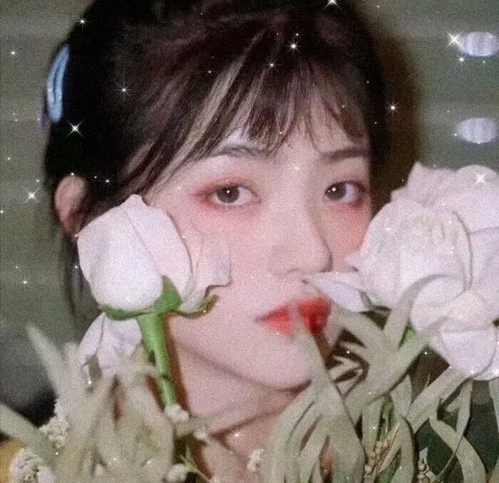 滴血玫瑰